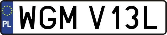 WGMV13L