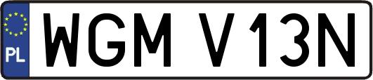 WGMV13N