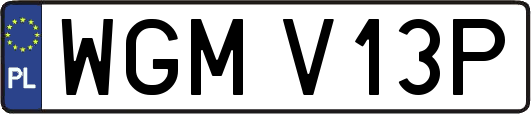 WGMV13P