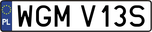 WGMV13S