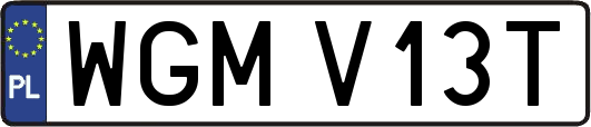WGMV13T