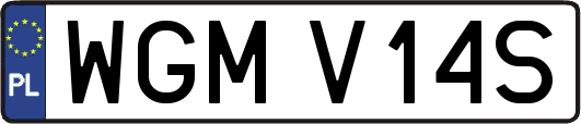WGMV14S
