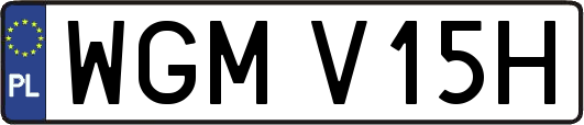 WGMV15H