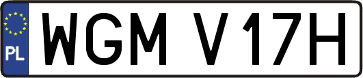 WGMV17H