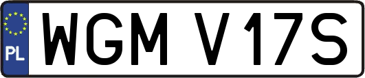WGMV17S