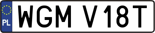 WGMV18T
