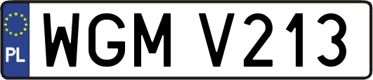 WGMV213