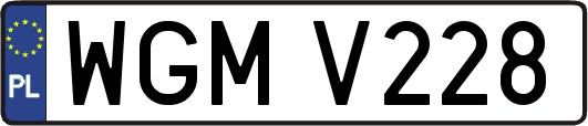 WGMV228