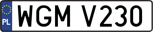 WGMV230
