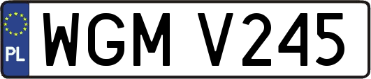 WGMV245
