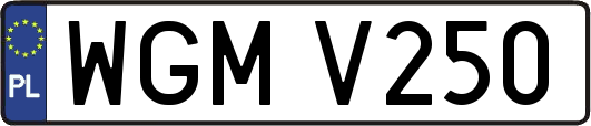 WGMV250