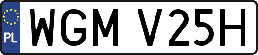 WGMV25H