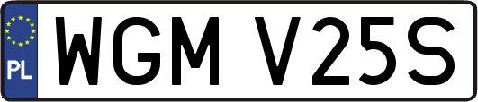 WGMV25S
