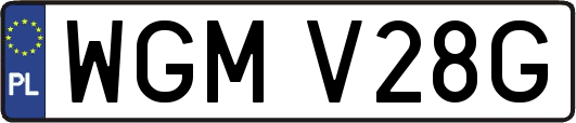 WGMV28G