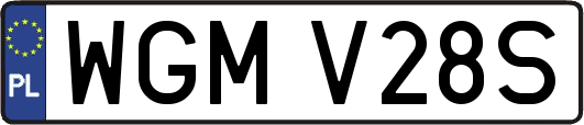 WGMV28S