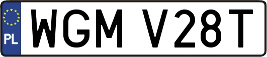 WGMV28T