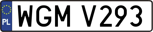 WGMV293