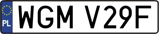 WGMV29F