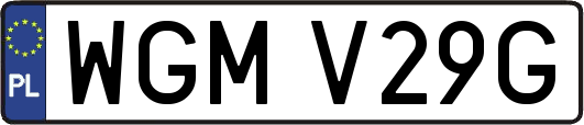 WGMV29G
