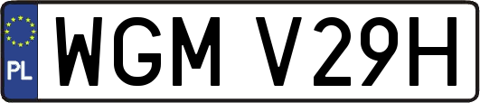 WGMV29H