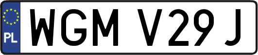 WGMV29J