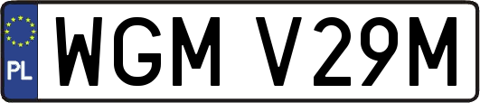 WGMV29M
