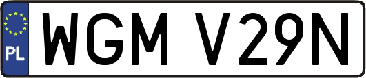 WGMV29N