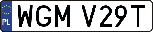 WGMV29T