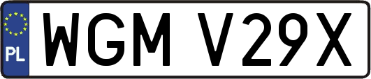 WGMV29X