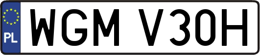 WGMV30H