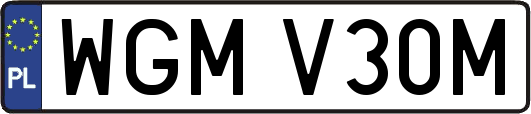 WGMV30M