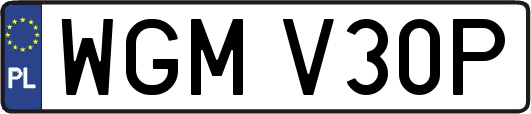 WGMV30P