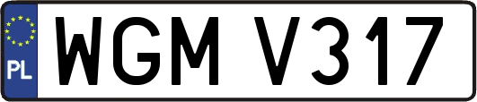 WGMV317