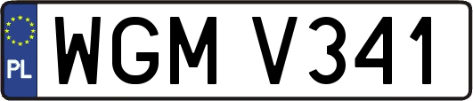 WGMV341