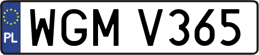 WGMV365