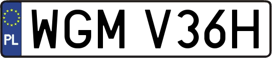 WGMV36H
