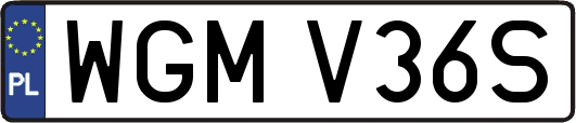 WGMV36S