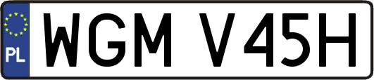 WGMV45H