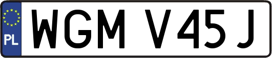 WGMV45J