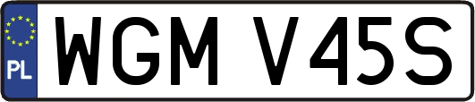WGMV45S