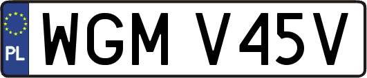 WGMV45V