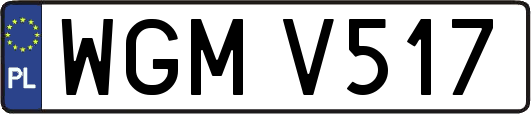 WGMV517