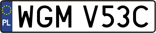 WGMV53C