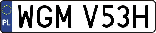 WGMV53H