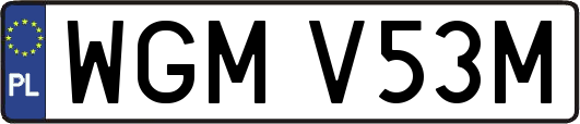 WGMV53M