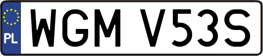 WGMV53S