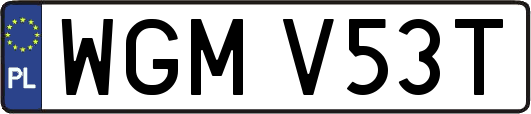 WGMV53T