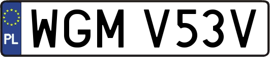 WGMV53V