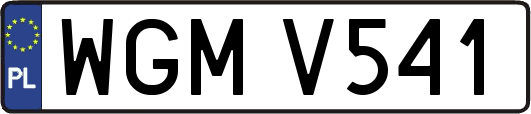 WGMV541