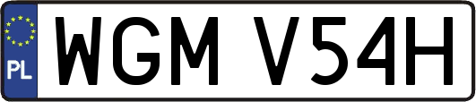 WGMV54H